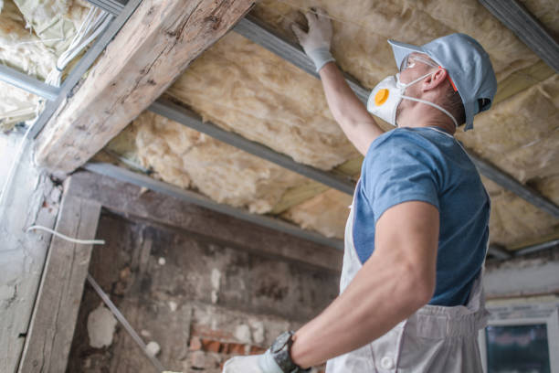 Best Energy Efficiency Insulation in Madison, IL