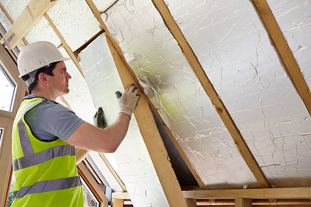 Best Insulation Maintenance and Repair in Madison, IL