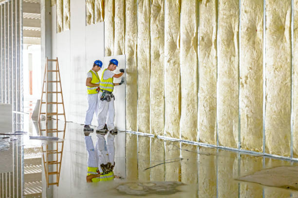 Best Eco-Friendly Insulation in Madison, IL